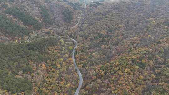 秋天大山公里航拍