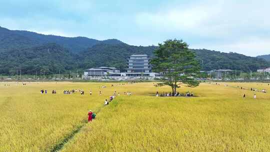 中国广东省广州市从化区广州国家版本馆