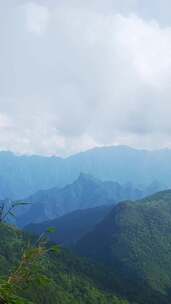 竖版航拍旅游景区湖北神农架5A景区