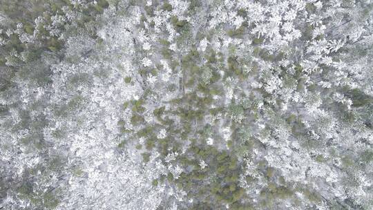 航拍南方丘陵山川森林美丽乡村雪景