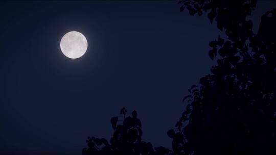 农村夜晚月夜月亮视频素材模板下载