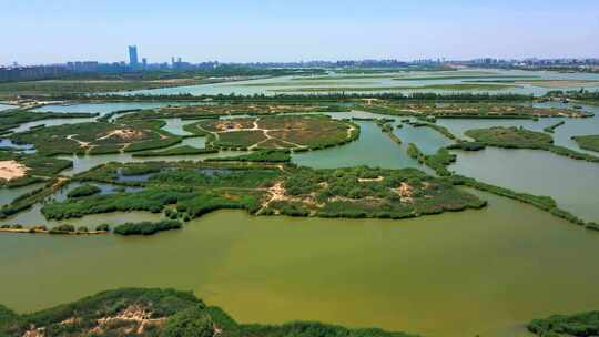 航拍芦苇荡湿地湖泊城市生态环境视频素材模板下载