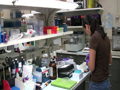 工作者在实验室准备癌症疫苗