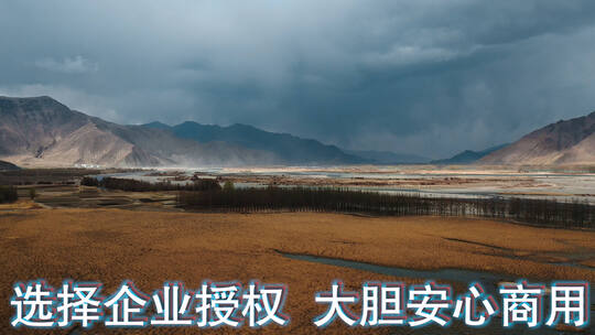 河床草甸视频西藏风光尼洋河交错河流湿地