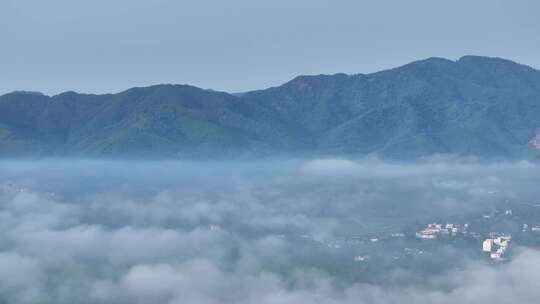 海南白沙茶园清晨平流雾航拍视频素材模板下载