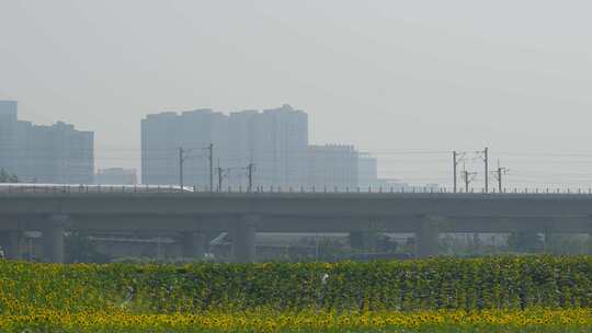 成都有花田前景的高铁道路与城市