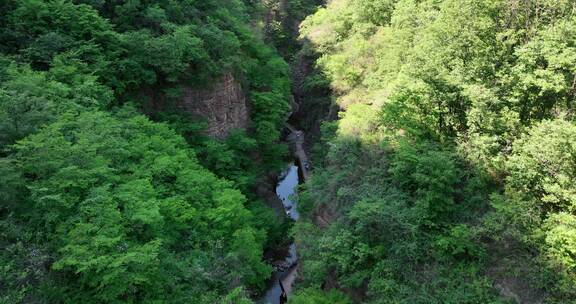 洛阳龙潭大峡谷旅游生态森林河流航拍景点