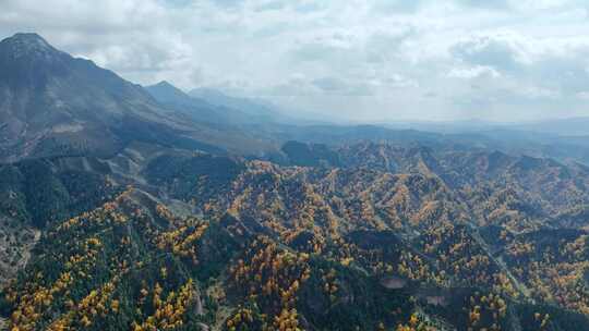 【4K画质】原始山谷航拍