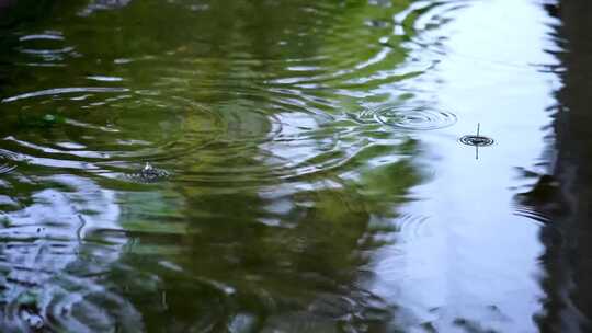 雨滴落入水中