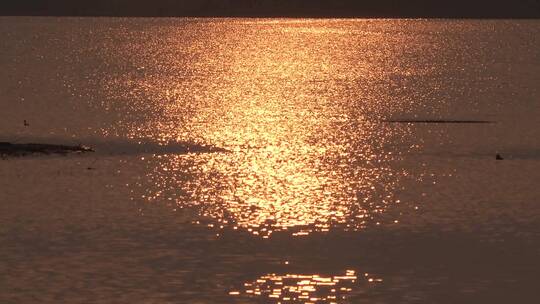 金色朝霞晚霞掩映在水波荡漾的湖面上