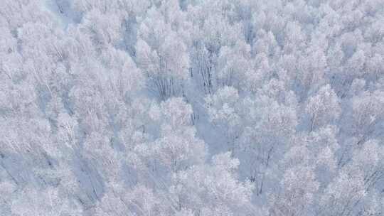 4K呼伦贝尔雪原雾凇空镜