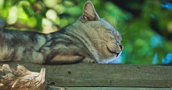 北京夏天 北京人文生活风光空镜头