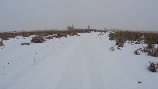 下雪天荒滩草丛便道行车记录视频素材模板下载