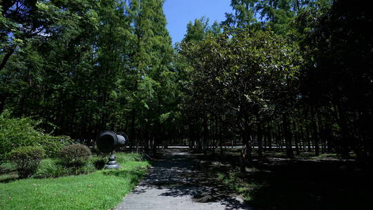 武汉江岸区汉口江滩风景