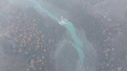 航拍大雪纷飞的新疆喀纳斯河畔秋色