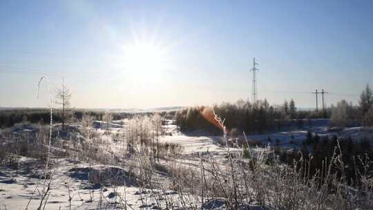 冬天坝上塞罕坝林地雪地与树挂