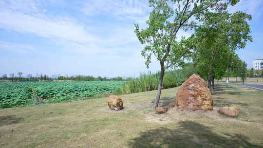 武汉江夏区黄家湖湿地公园