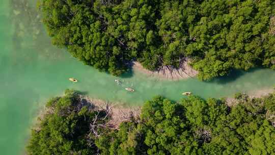 皮划艇，Tavernier Key，红树