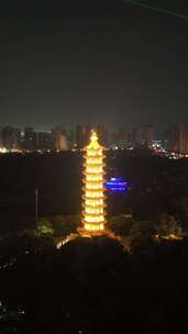 竖屏航拍湖北鄂州莲花山元明塔夜景