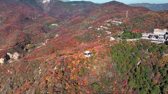 秋日红叶森林航拍满山红叶