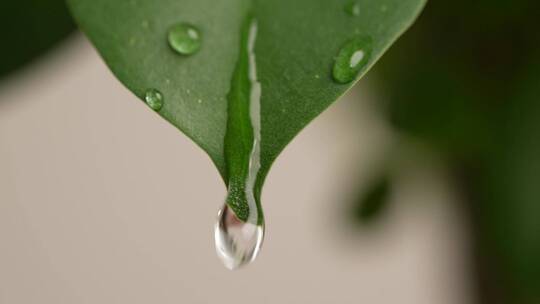 水滴雨滴落下特写慢速视频素材模板下载