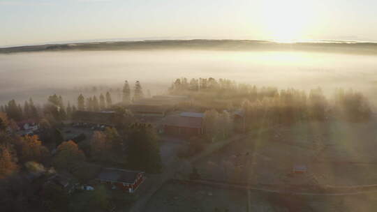 日出时被雾覆盖的农场建筑