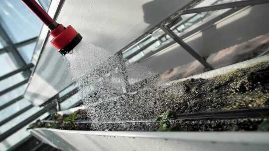 蔬菜大棚种植浇水视频素材模板下载