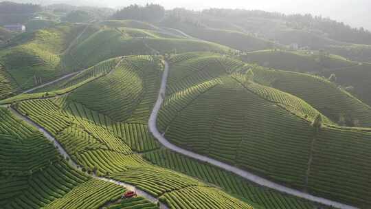 航拍视角恩施鹤峰茶山