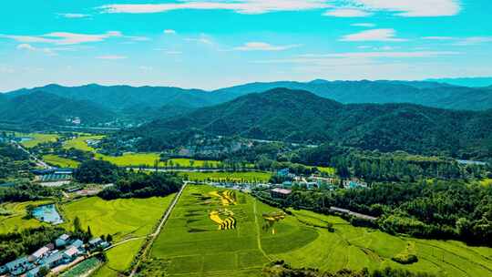 信阳罗山灵山镇山村稻田航拍延时摄影