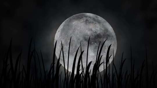小草月亮月夜夜晚