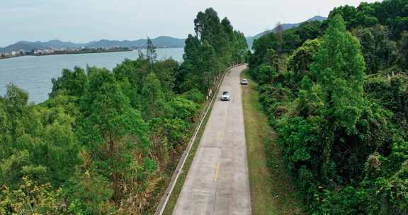 沿海公路海边公路海景公路绿色树木