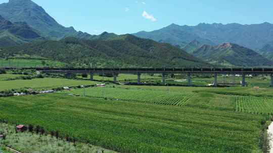 【航拍】草原风景 坝上草原  绿水青山