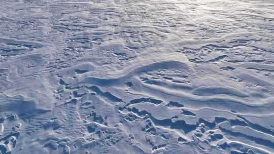 呼伦贝尔草原冬季风吹雪视频素材模板下载