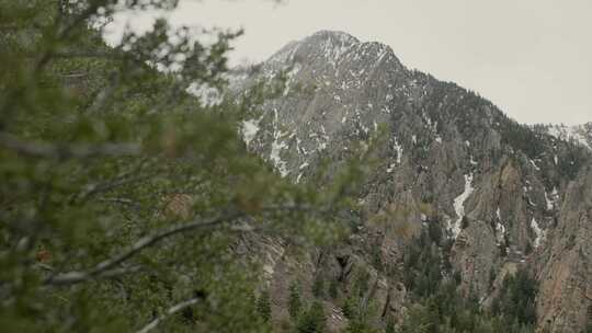 山，风景，荒野，冬季