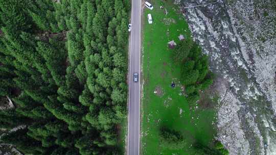 行驶在森林公路上的汽车