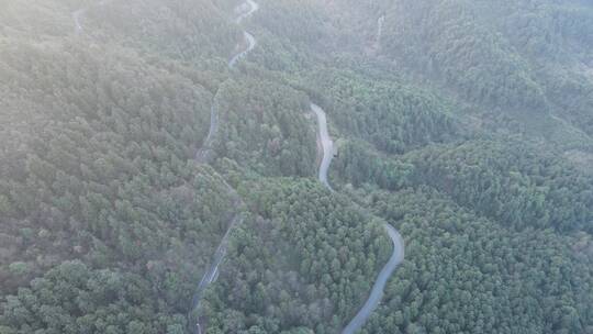 航拍 大山 森林 蜿蜒 盘山 公路