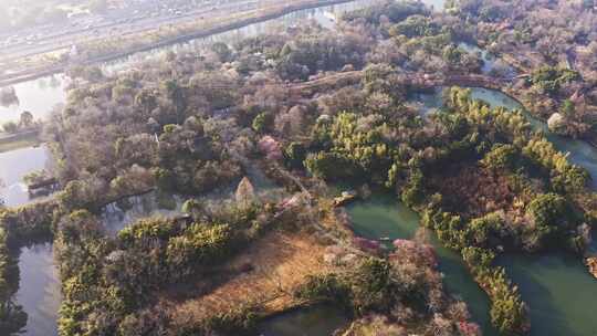 杭州西溪湿地曲水寻梅 春天江南梅花航拍