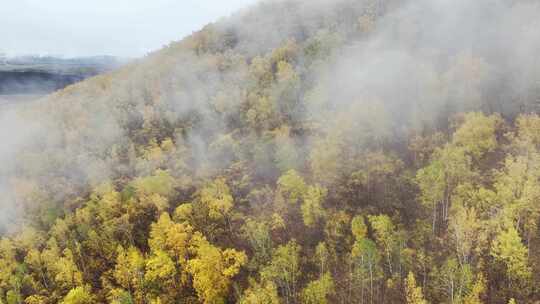 内蒙古兴安盟地区大兴安岭秋季云海景观