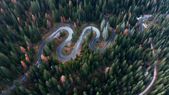 森林山地盘山公路