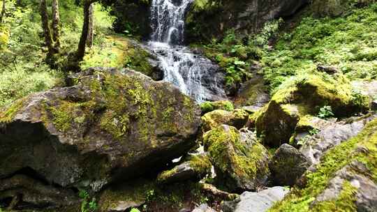 大山深处原始森林热带丛林河流小溪