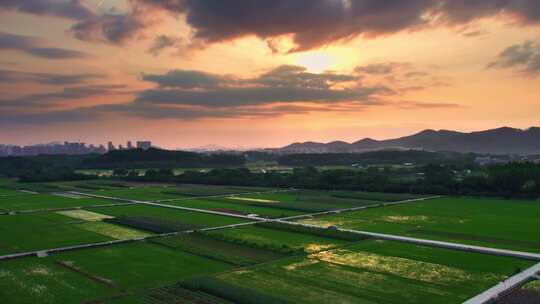 田园风光与农耕生活 农业 三农 乡村振兴