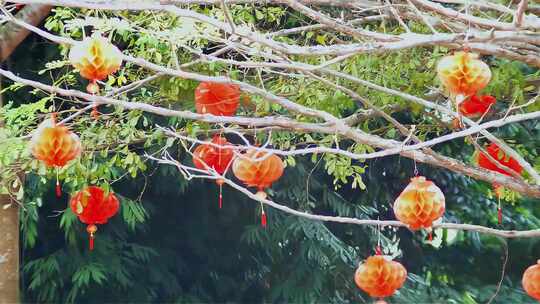 新年春节挂灯笼视频