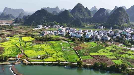 美丽乡村油菜花航拍