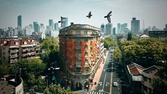 上海武康大楼 鸽子飞过视频素材模板下载