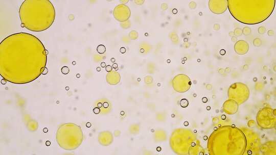 橄榄油油分子油液体倒入水中