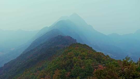 秦岭森林秋色