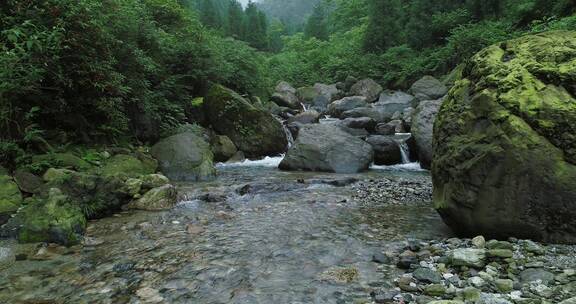 峨眉后山夏日山涧溪流清凉宜人