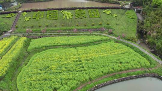 东阳象田村油菜花海田园风光 航拍