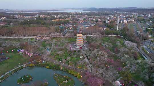 湖北省武汉市东湖磨山樱花园五重塔日落航拍