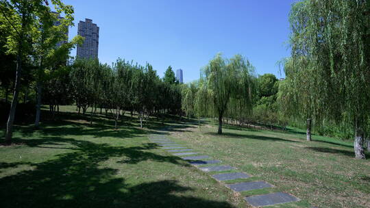 武汉武昌区沙湖公园风景
